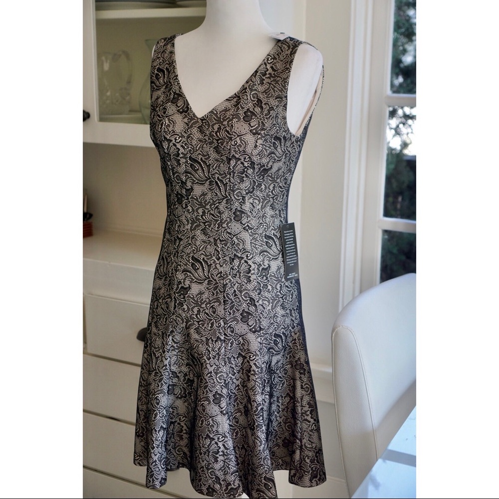 NWT The Limited Fit & Flare Lace Dress - Flapper
